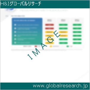グローバルリサーチ調査レポートのイメージ